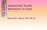 Abnormal Trunk Behavior in Gait David D. Wise, PT, Ph.D.