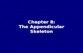 Chapter 8: The Appendicular Skeleton. The Appendicular Skeleton Figure 8–1.