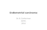 Endometrial carcinoma Dr. B. Zuckerman SZMC 2014.