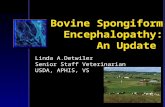 Bovine Spongiform Encephalopathy: An Update Linda A.Detwiler Senior Staff Veterinarian USDA, APHIS, VS.