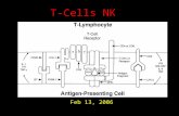 T-Cells NK Feb 13, 2006. T-cells Antigens that are transported by dendritic cells to lymph nodes are recognized by naive T lymphocytes that recirculate.