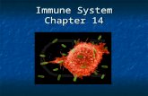 Immune System Chapter 14. Immunity – the ability to resist infection and disease Humans have two major types of defense mechanisms:  Innate (Non-specific)