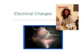 Electrical Charges.  All matter has electrical charges  There are two types of charges: Positive Negative  If you have an equal number of positives.
