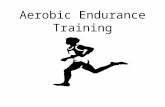 Aerobic Endurance Training. Physiological Adaptations to Aerobic Endurance Training Respiratory System Enhanced oxygen exchange in the lungs Improved.