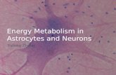 Energy Metabolism in Astrocytes and Neurons Yufeng Zhang.