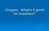 Oxygen: What’s it good for anyways?.  Outline Basic Concepts Basic Concepts DiffusionDiffusion Hemoglobin bindingHemoglobin binding Oxygen equationsOxygen.