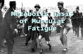 Metabolic basis of Muscular Fatigue. Muscular fatigue Muscular fatigue Muscular fatigue Inability to maintain a given exercise intensity or force output.