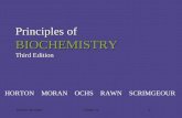 Prentice Hall c2002Chapter 111 Principles of BIOCHEMISTRY Third Edition HORTON MORAN OCHS RAWN SCRIMGEOUR.