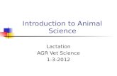 Introduction to Animal Science Lactation AGR Vet Science 1-3-2012.