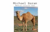 Michael Baram Medical Critical Care. SevereSepsis Relationship Between SIRS, Sepsis and Severe Sepsis Bone RC, et al. Chest 1992;101:1644-55. Vincent