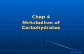 目录 Chap 4 Metabolism of Carbohydrates 目录 Substance metabolism.