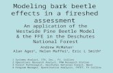 Modeling bark beetle effects in a fireshed assessment An application of the Westwide Pine Beetle Model & the FFE in the Deschutes National Forest Andrew.