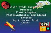 Sixth Grade Curriculum Project: Plant Kingdom, Photosynthesis, and Global Effects Amy Aieta and Sarah Carter.