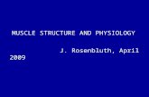 MUSCLE STRUCTURE AND PHYSIOLOGY J. Rosenbluth, April 2009.