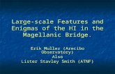 Large-scale Features and Enigmas of the HI in the Magellanic Bridge. Erik Muller (Arecibo Observatory) Also Lister Stavley Smith (ATNF)