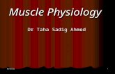 Muscle Physiology Dr Taha Sadig Ahmed 5/13/20151.