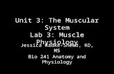 Unit 3: The Muscular System Lab 3: Muscle Physiology Jessica Radke-Snead, RD, MS Bio 241 Anatomy and Physiology.
