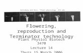 Flowering, reproduction and Terminator technology Plant Physiol Biotech 3470 Lecture 14 Thurs 15 March 2006 Salisbury and Ross, “Plant physiology” 4th.