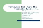 Tantrums: Not Just the Terrible Twos Rachel J. Valleley, Ph.D. Assistant Professor, Munroe-Meyer Institute Licensed Psychologist.