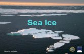 Photo by Ute Kaden.. What is sea ice? How is it formed? Why is it important? Who / What does sea ice impact? How do scientists study sea ice? What do.