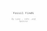 Fossil Finds By Luke, John,and Spencer Summary Different scientist look in the earth to find fossils. Dutch surgeon uncovered remains of a human ancestor.