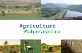 Agriculture Maharashtra. Land Utilisation Pattern Area fig. in “00’ ha.