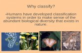 Why classify? Humans have developed classification systems in order to make sense of the abundant biological diversity that exists in nature.