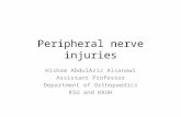 Peripheral nerve injuries Hisham AbdulAziz Alsanawi Assistant Professor Department of Orthopaedics KSU and KKUH.