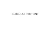 GLOBULAR PROTEINS. TYPES OF PROTEINS GLOBULAR PROTEINS FIBROUS PROTEINS