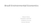 Brazil Environmental Economics Alyssa Cobus Madeline Mitchell Matthew Ferrara Doreen Brown.