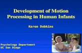 Karen Dobkins Development of Motion Processing in Human Infants Karen Dobkins Psychology Department UC San Diego.