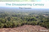 © Oxford University Press 2009 The Disappearing Canopy The Causes.