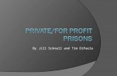 By Jill Schnall and Tim DiPaolo. Introduction  States are contracting private prisons to take prisoners from public prisons mainly to relieve overcrowding.