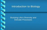 Introduction to Biology Studying Life’s Diversity and Intricate Processes.