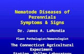 Nematode Diseases of Perennials Symptoms & Signs Dr. James A. LaMondia Plant Pathologist/Nematologist The Connecticut Agricultural Experiment Station,