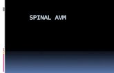 SPINAL AVM. Introduction  Vascular malformations of spinal cord are a rare clinical entity, representing 5% of all primary spinal cord lesions, with.