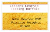 Lessons Learned Feeding Buffalo John Bowron DVM Prairie Heights Bison.