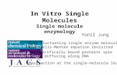 In Vitro Single Molecules Single molecule enzymology Yonil Jung Ever fluctuating single enzyme molecules: Michaselis-Menten equation revisited Nonspecifically.