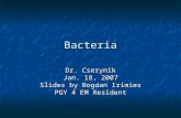 Bacteria Dr. Cserynik Jan. 18, 2007 Slides by Bogdan Irimies PGY 4 EM Resident.
