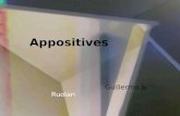 Appositives Guillermo & Ruolan. What is an APPOSITIVE ? I want to visit Paris’s famous spot, The Eiffel Tower.