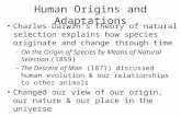 Human Origins and Adaptations Charles Darwin’s theory of natural selection explains how species originate and change through time –On the Origin of Species.