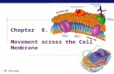 AP Biology 2005-2006 Chapter 8. Movement across the Cell Membrane.