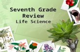Seventh Grade Review Life Science. Living organisms require food, water, shelter, energy, and space to survive.