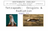 Tetrapods: Origins & Radiation PART II VERTEBRATE ZOOLOGY (VZ Lecture10 – Fall 2012 Althoff - reference PJH Chapters 8 &9)