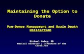 Maintaining the Option to Donate Pre-Donor Management and Brain Death Declaration Michael Haley, MD Medical Director - LifeShare of the Carolinas.