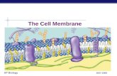 AP Biology 2007-2008 The Cell Membrane AP Biology 2 The Structure of A Cell  ALL cells have a cell membrane  A thin, flexible barrier around the cell.