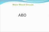 ABO. Although there are over 600 known red blood cell antigens organized into 22 blood group systems, routine blood typing is usually concerned with only.