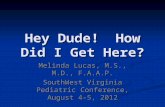 Hey Dude! How Did I Get Here? Melinda Lucas, M.S., M.D., F.A.A.P. SouthWest Virginia Pediatric Conference, August 4-5, 2012.
