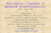 Bio/Spice: Towards a Network Bioinformatics NIH, July 2001 Adam Arkin Howard Hughes Medical Institute Departments of Bioengineering and Chemistry University.