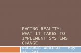 FACING REALITY: WHAT IT TAKES TO IMPLEMENT SYSTEMS CHANGE National Webinar May 16, 2011.